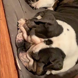 Meet your Posher, Jayden